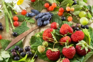 Boost your Brain and Body with Superfoods this Summer